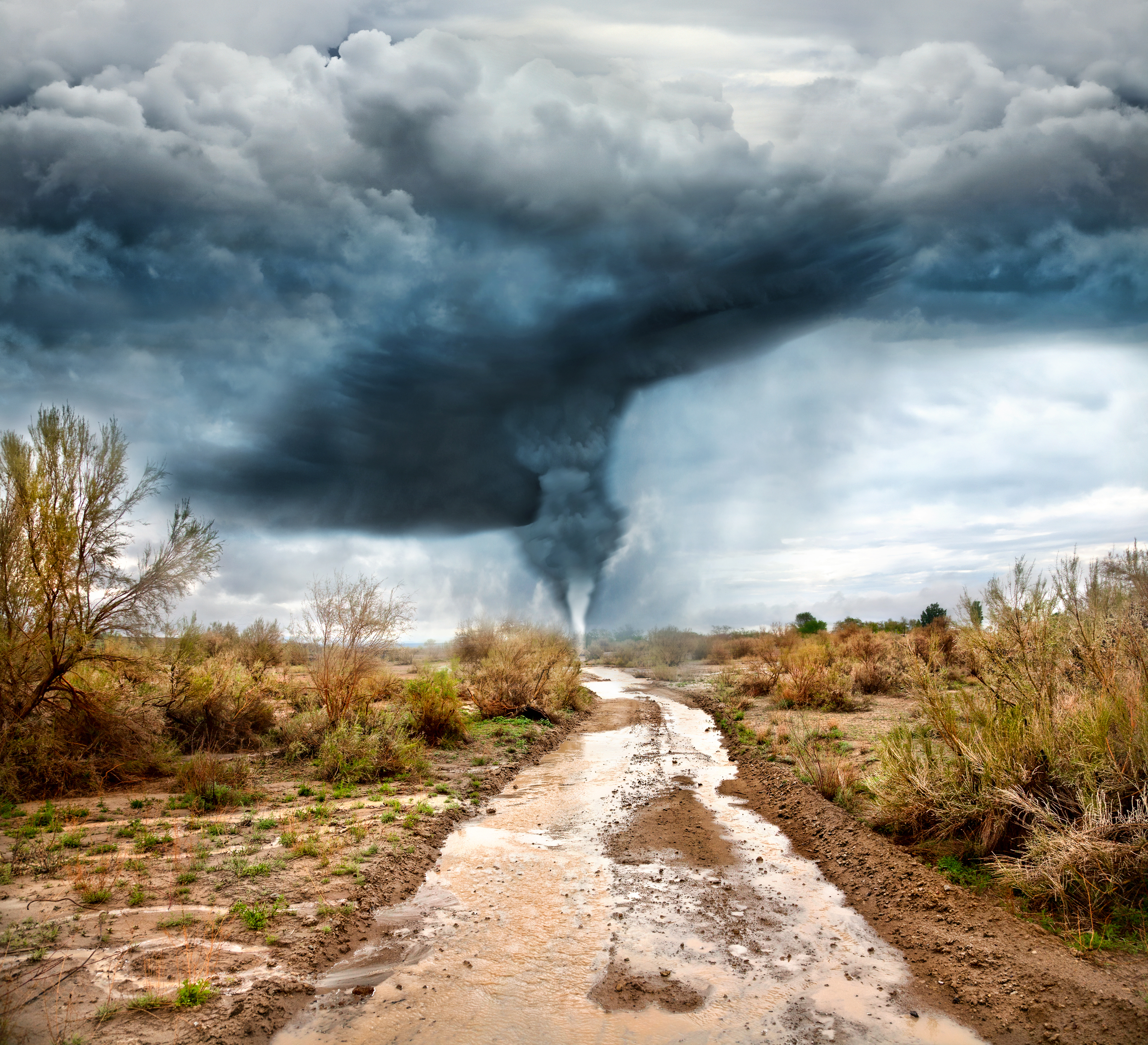 Dirt road, vegetation on each side, with large storm cloud in the background with flash flood water in the foreground