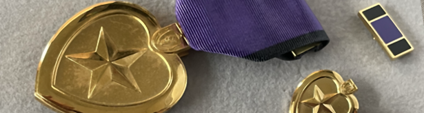 Image of the Medal of Liberty