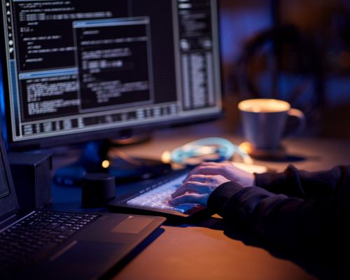 Cyber criminal