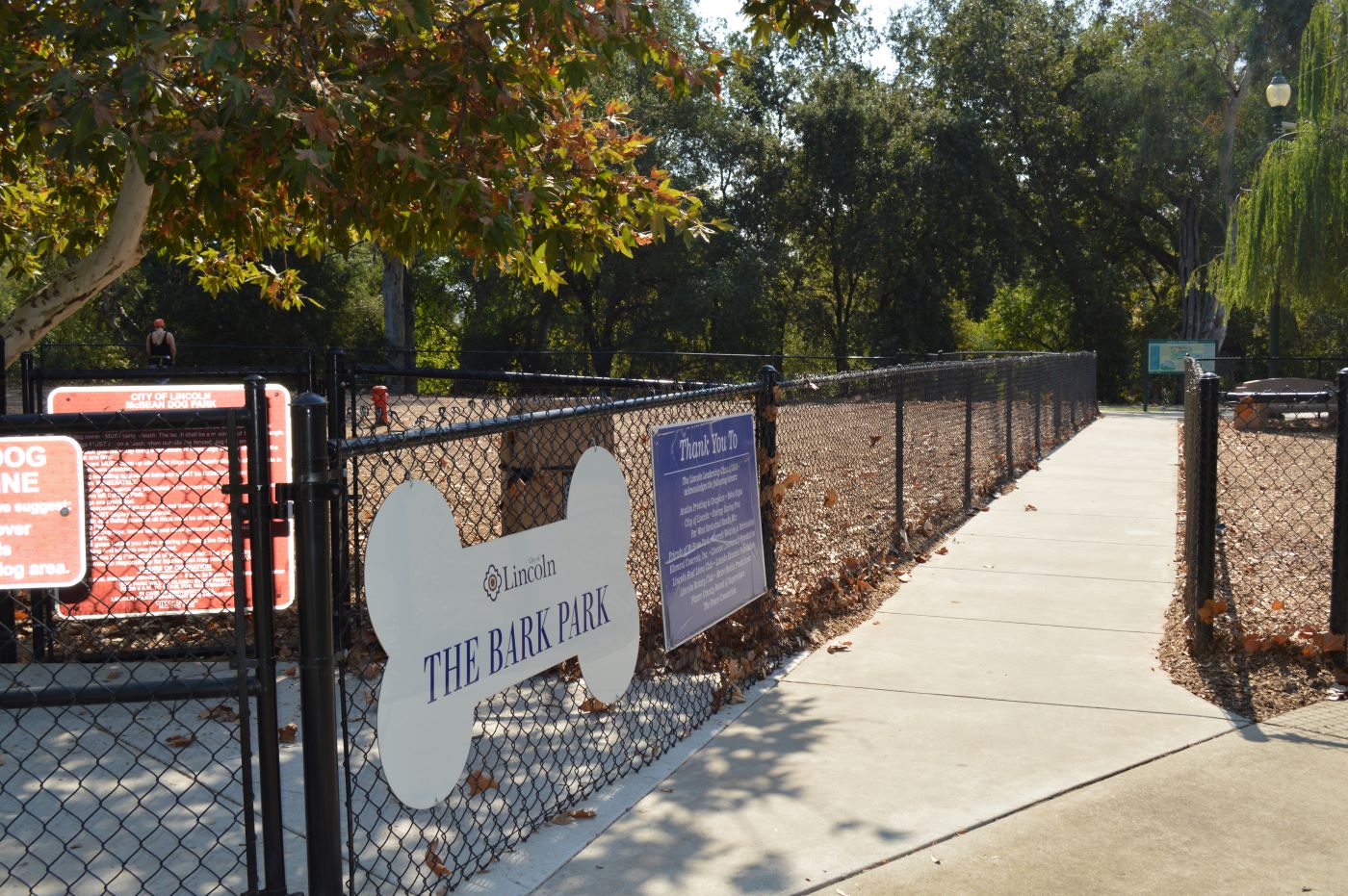 "Dog park with trees and bark"
